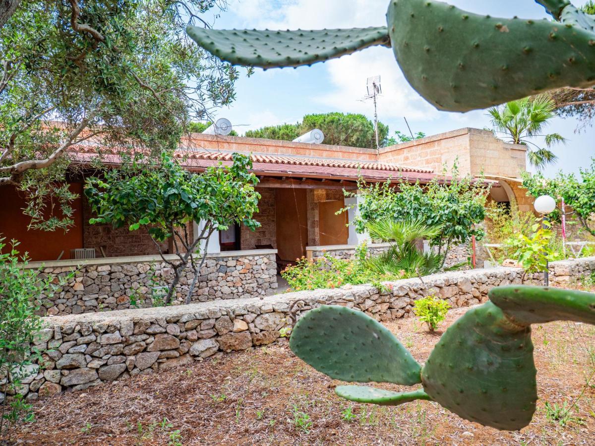 Agriturismo Masseria Alcorico กาเยียโน เดล คาโป ภายนอก รูปภาพ